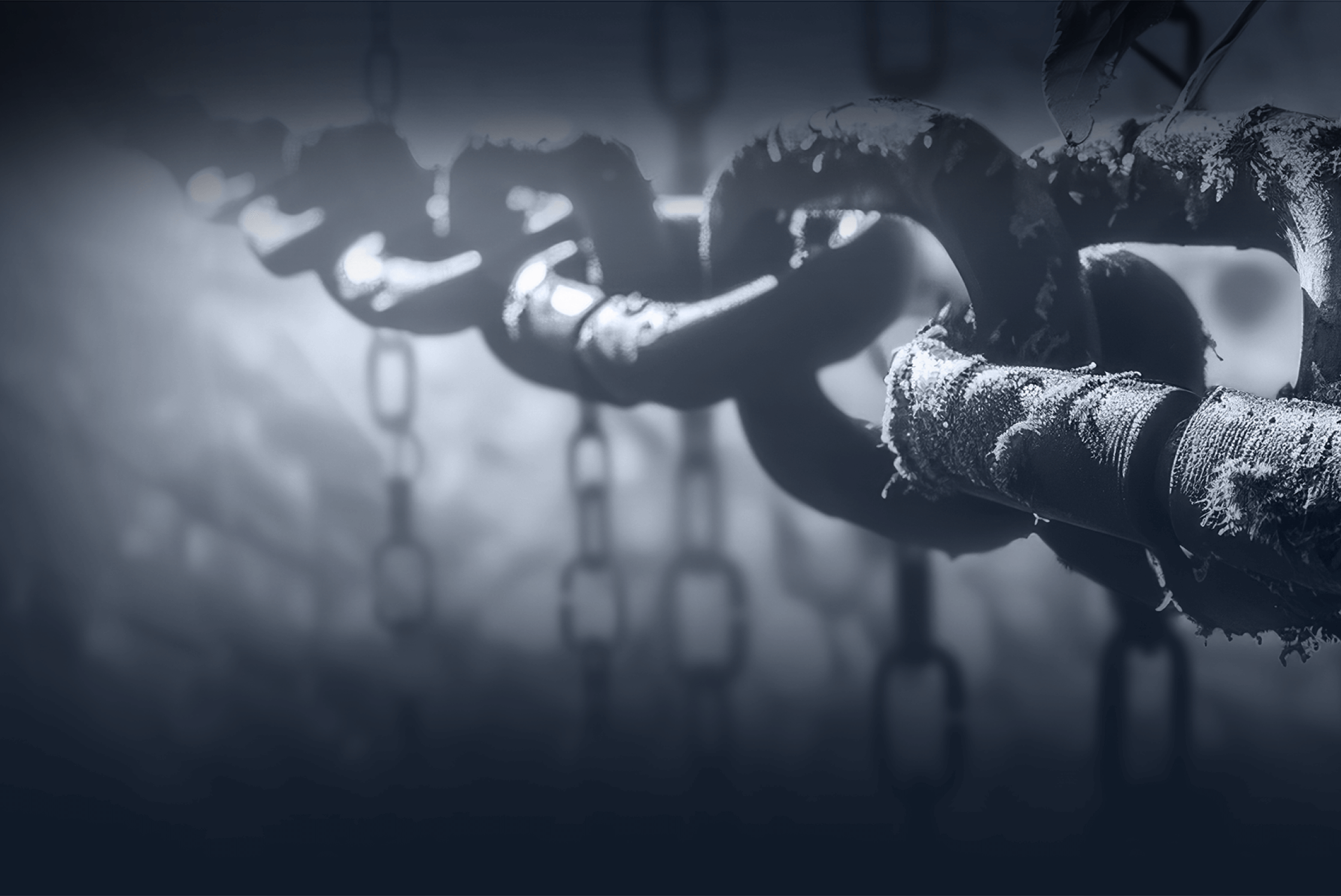 Responsible Consumption And Production